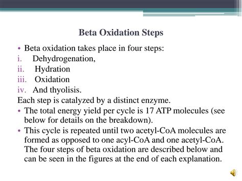 beta-oxidation|Beta Oxidation .